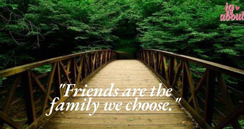 Best Friendship Bio for Instagram