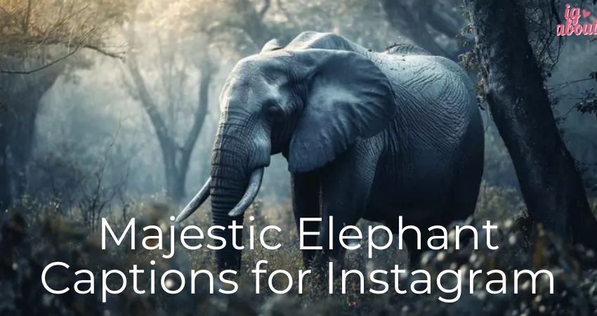 Majestic Elephant Captions for Instagram