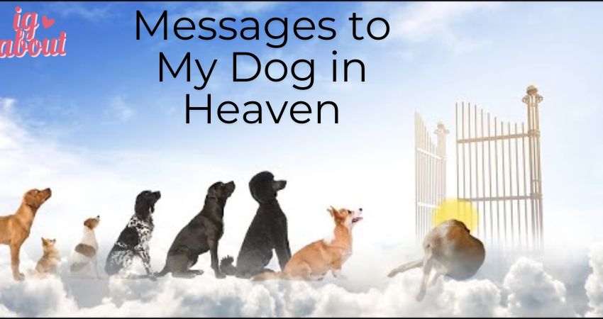 Messages to My Dog in Heaven