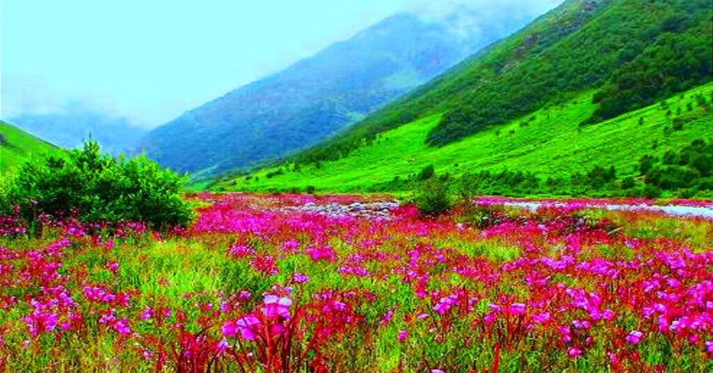 valley of flowers national park uttarakhand india